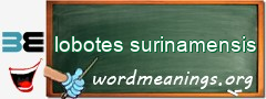 WordMeaning blackboard for lobotes surinamensis